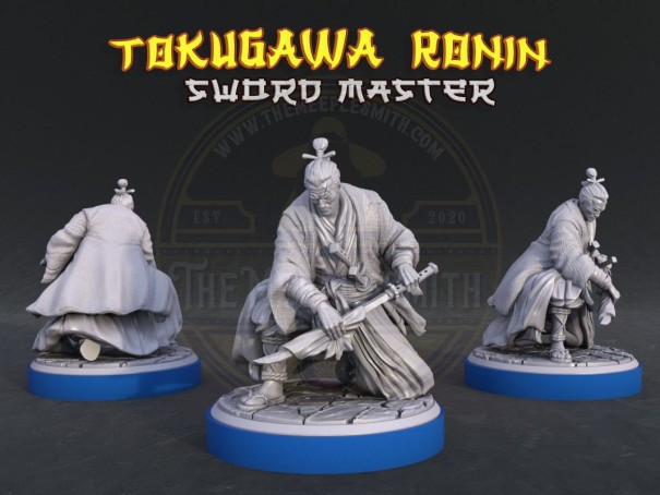 Tokugawa Sword Master