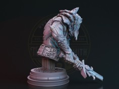 Kazhel, Guerrero de Sangre de Bruja (Bust) 2