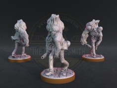 Miniatura de William Birkim 2