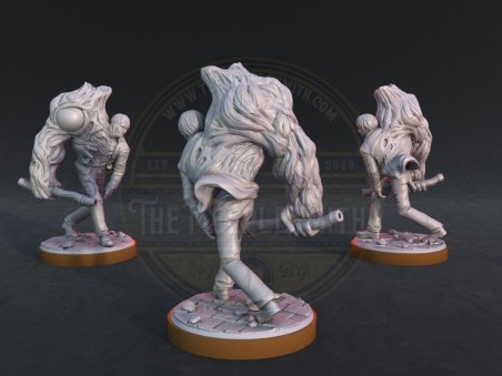 Miniatura de William Birkim