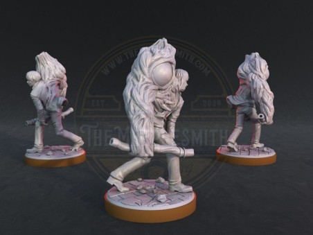 Miniatura de William Birkim