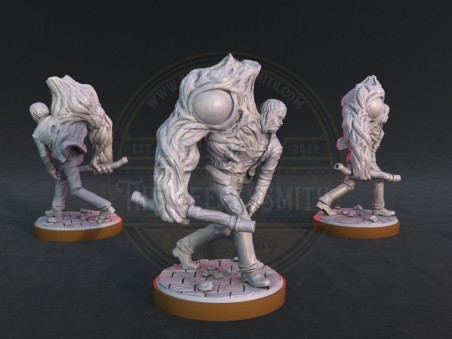 Miniatura de William Birkim