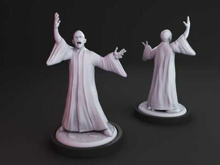 Lord Voldemort miniature