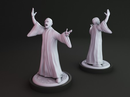 Lord Voldemort miniature