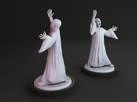Lord Voldemort miniature