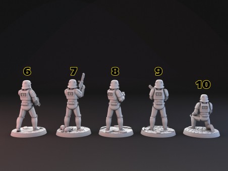 Stormtroopers miniatures